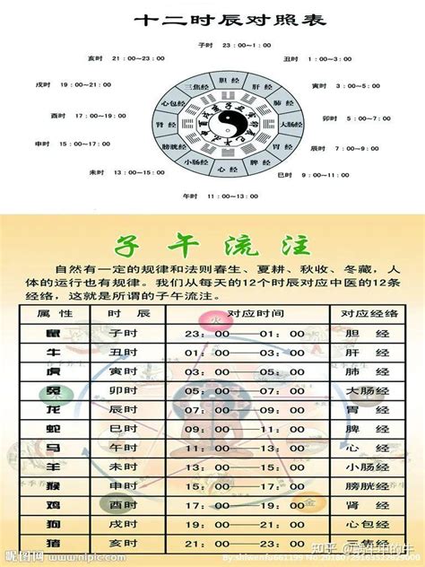 天干地支 時間|间天干地支十二小时与十二时辰对于时间对照表